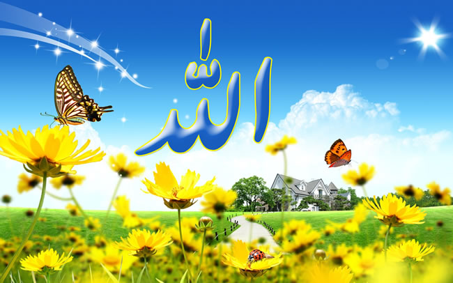 Allah-name-and-butterfly.jpg